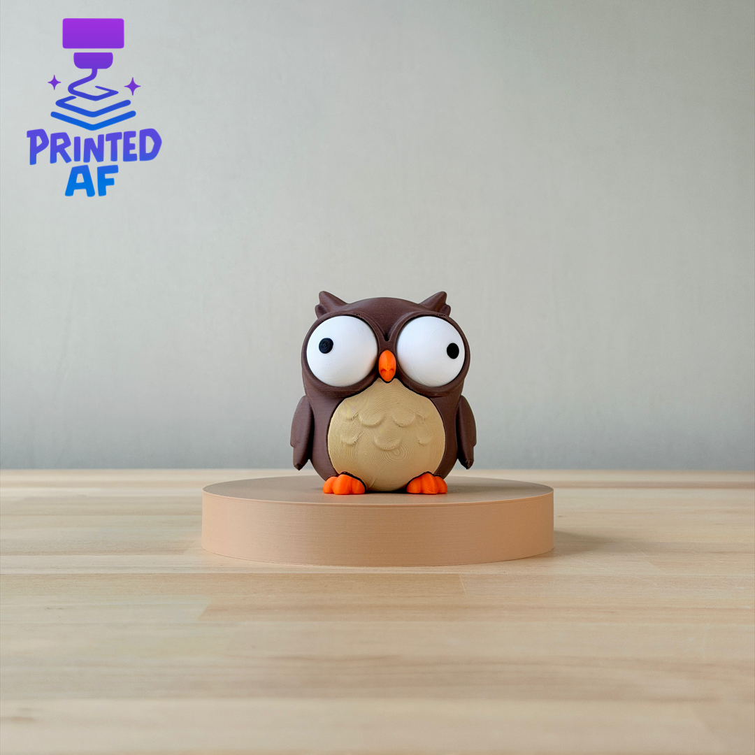 Goofy Owl