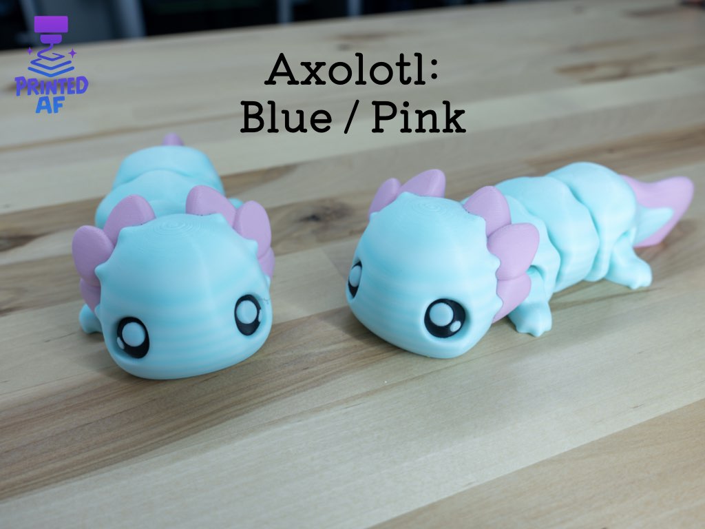 Axolotl