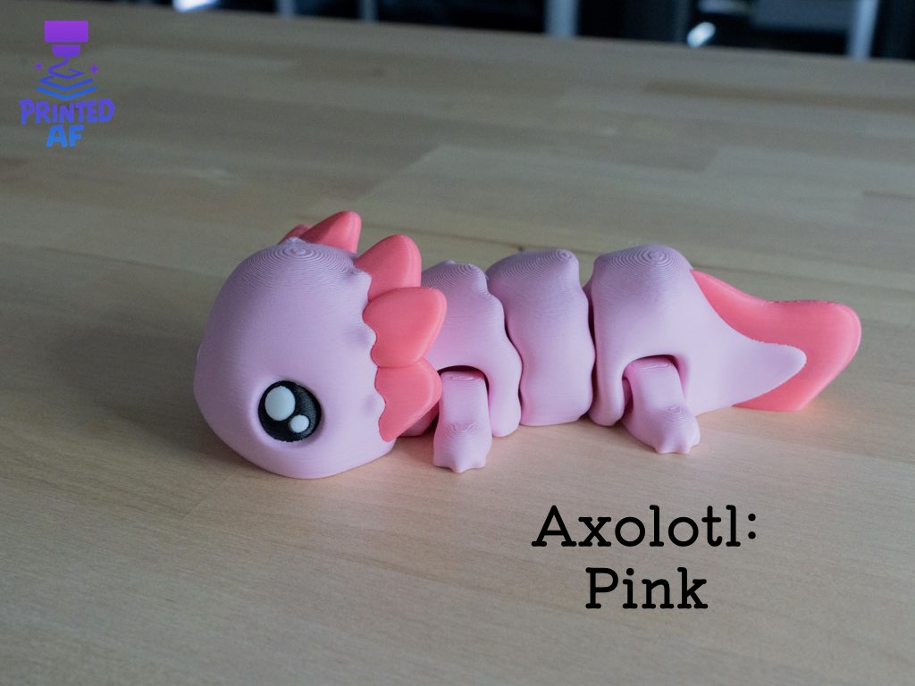 Axolotl