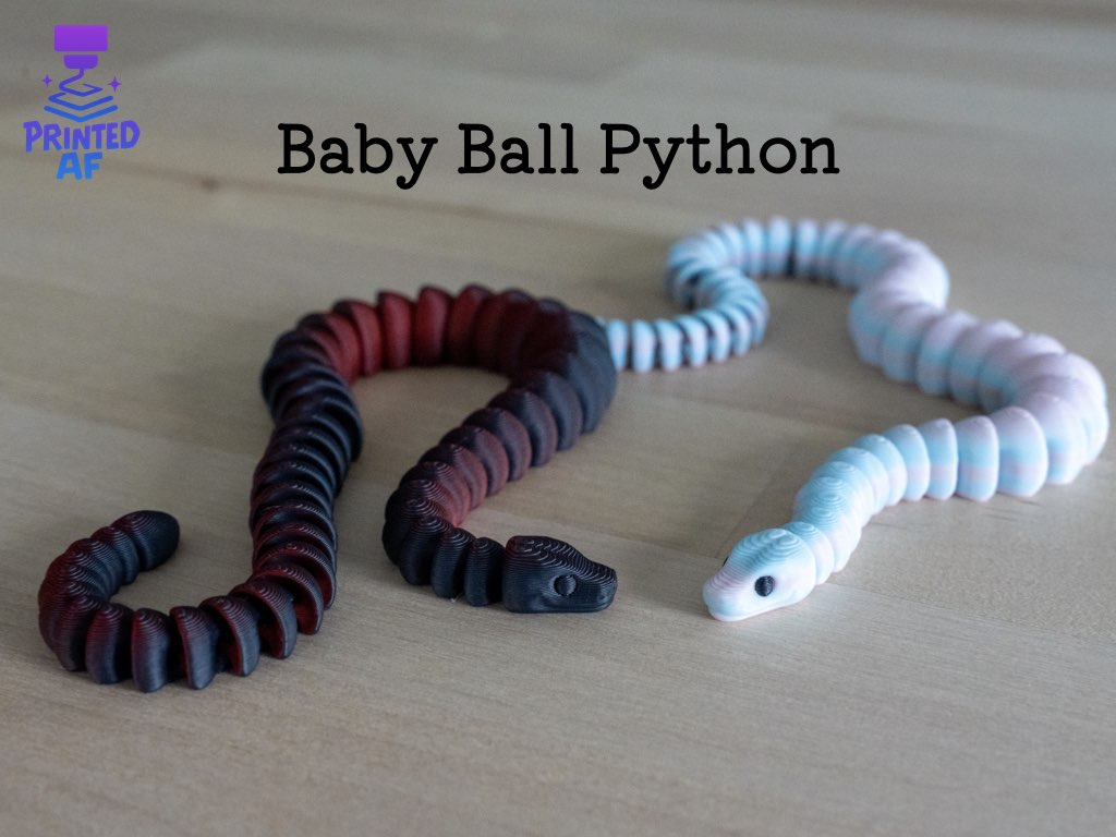 Baby Ball Python