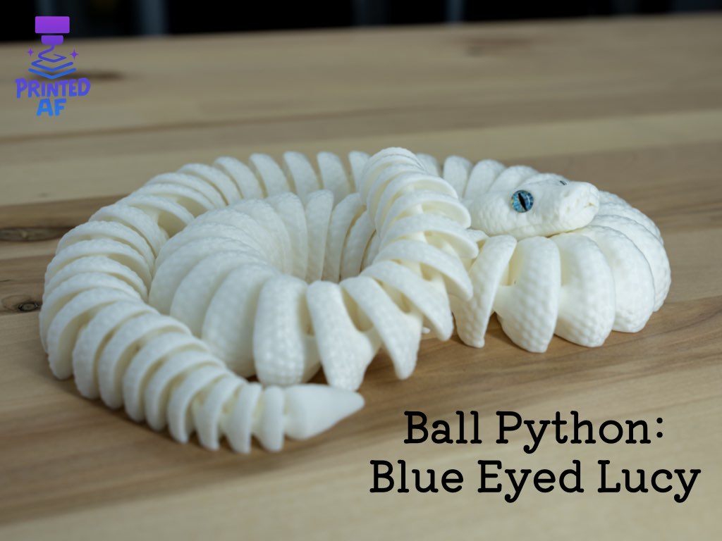 Ball Python