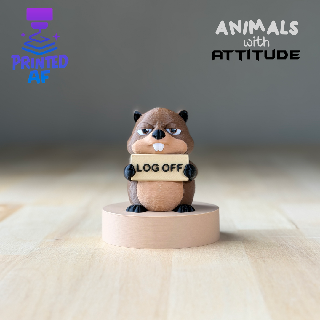 Beaver Attitude