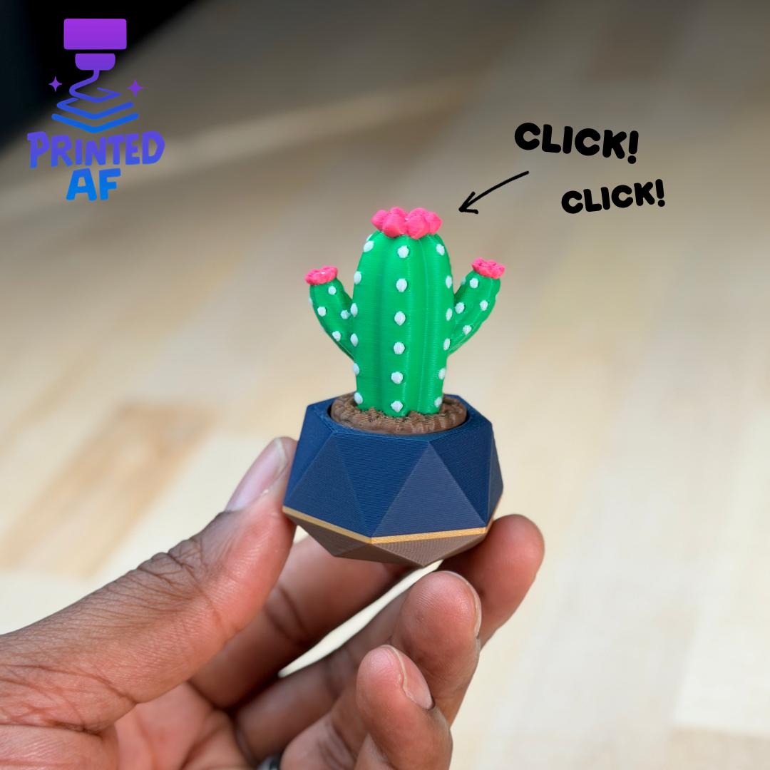 Potted Cactus
