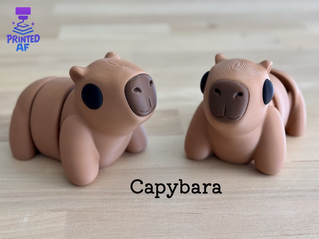 Capybara