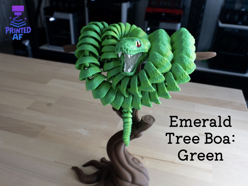 boa トール・スネークEP serial Emerald Tree Boa – PrintedAF