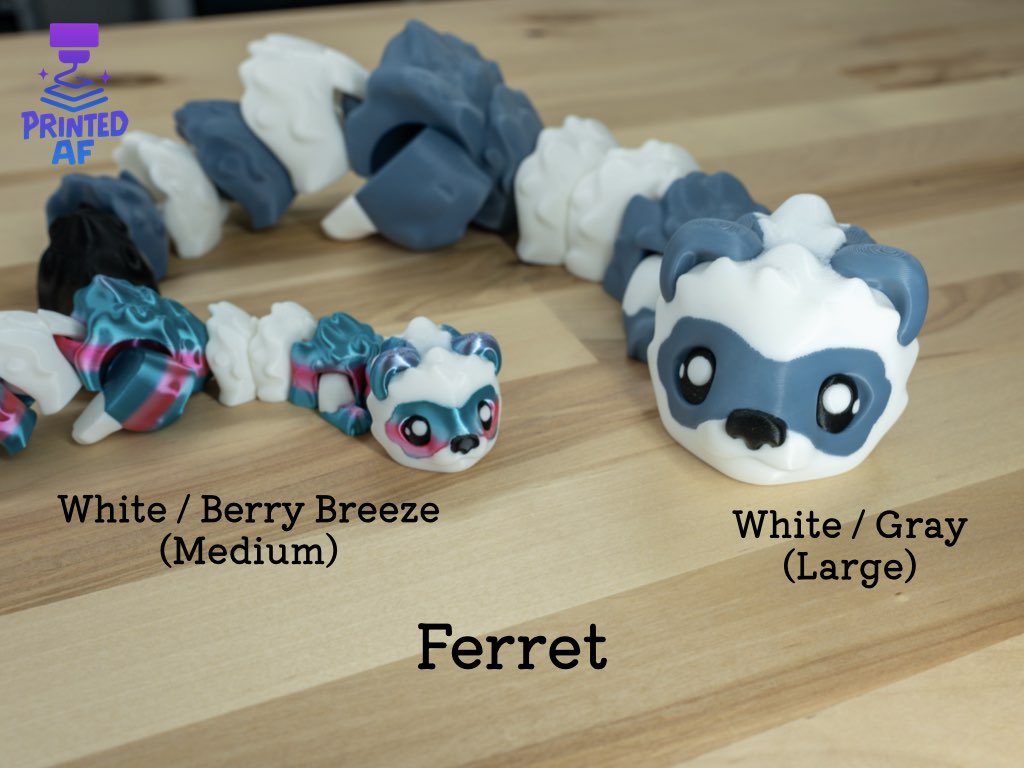 Ferret
