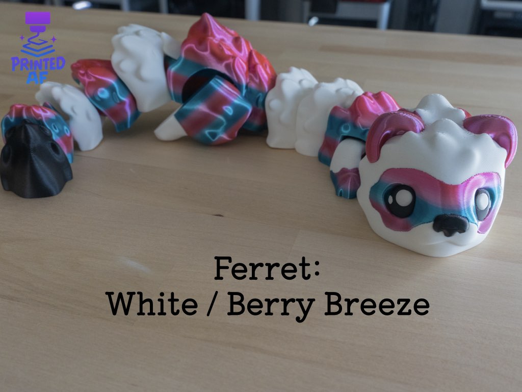 Ferret