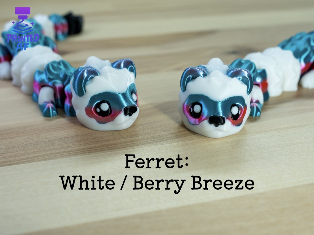Ferret
