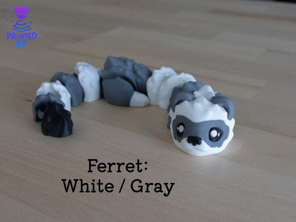 Ferret