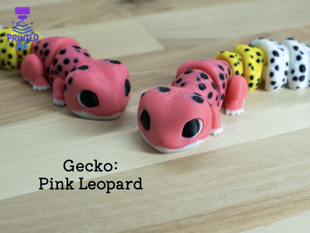 Gecko