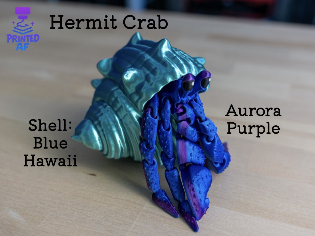 Hermit Crab