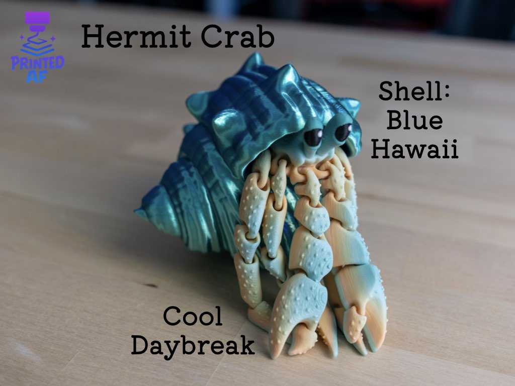 Hermit Crab