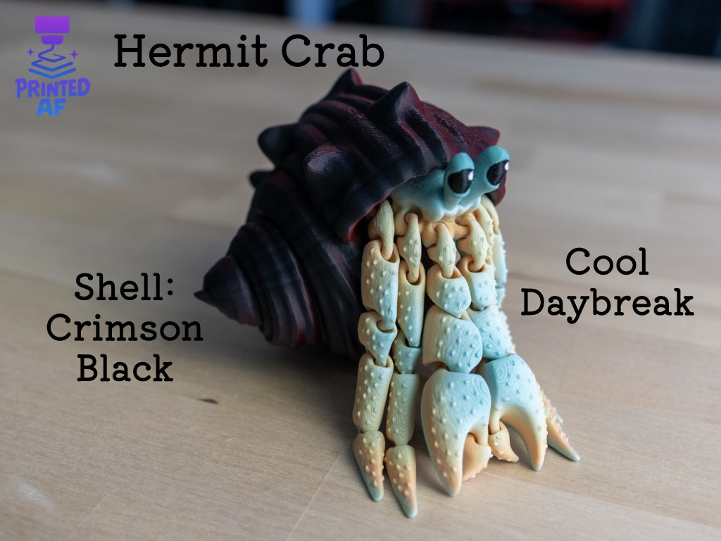Hermit Crab