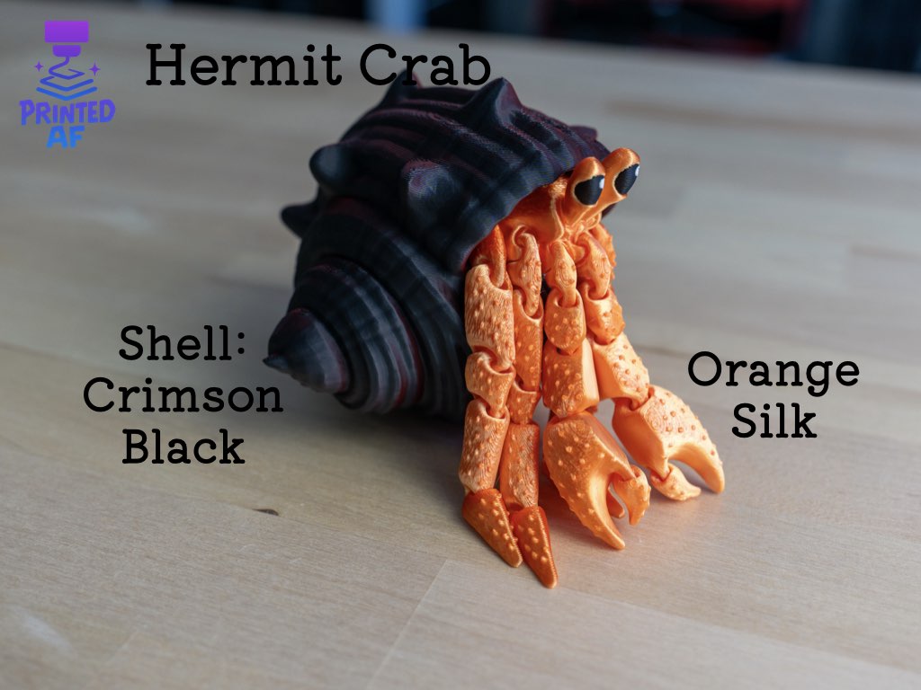 Hermit Crab
