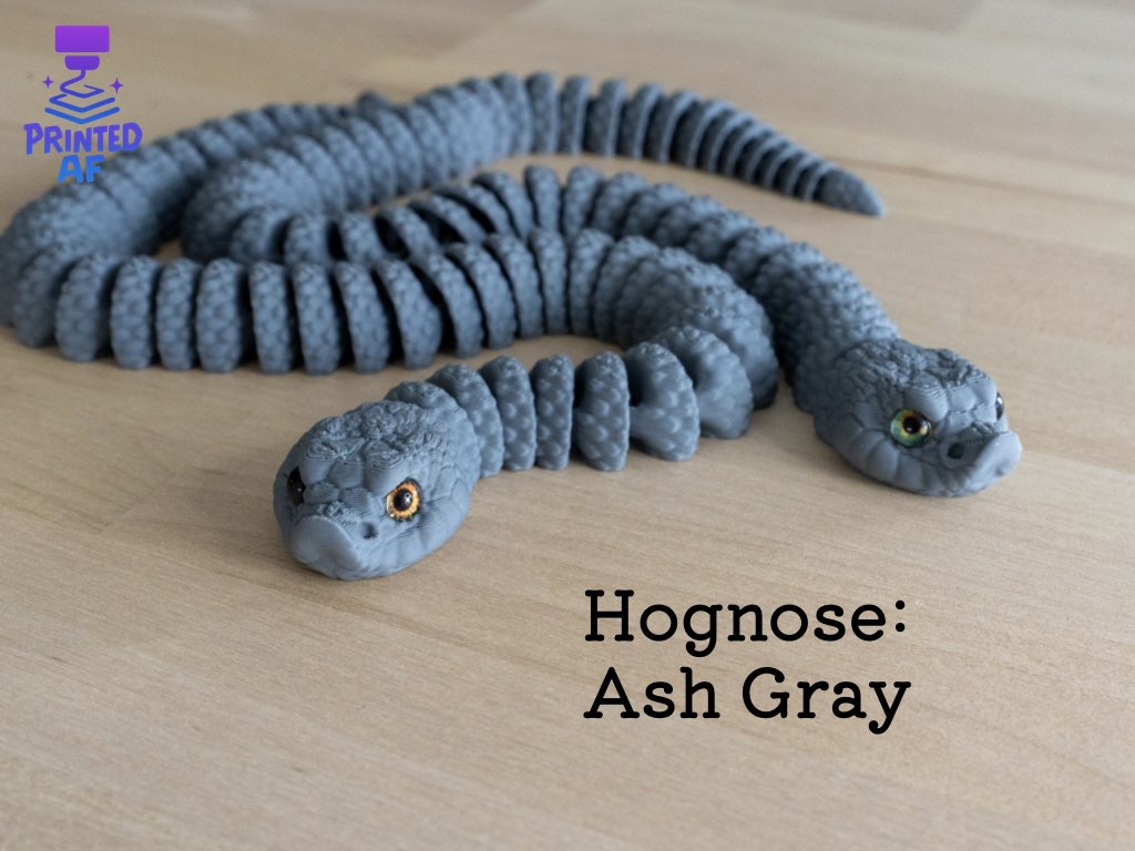 Hognose Snake