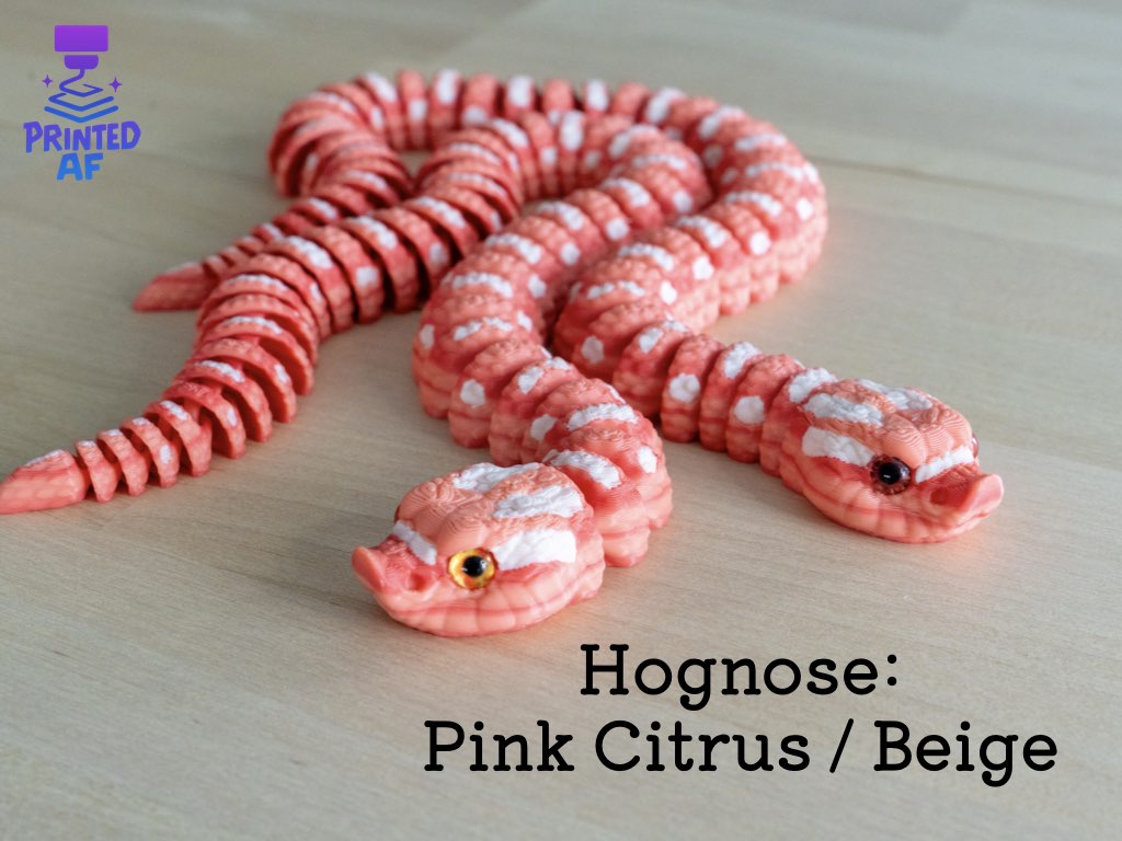 Hognose Snake