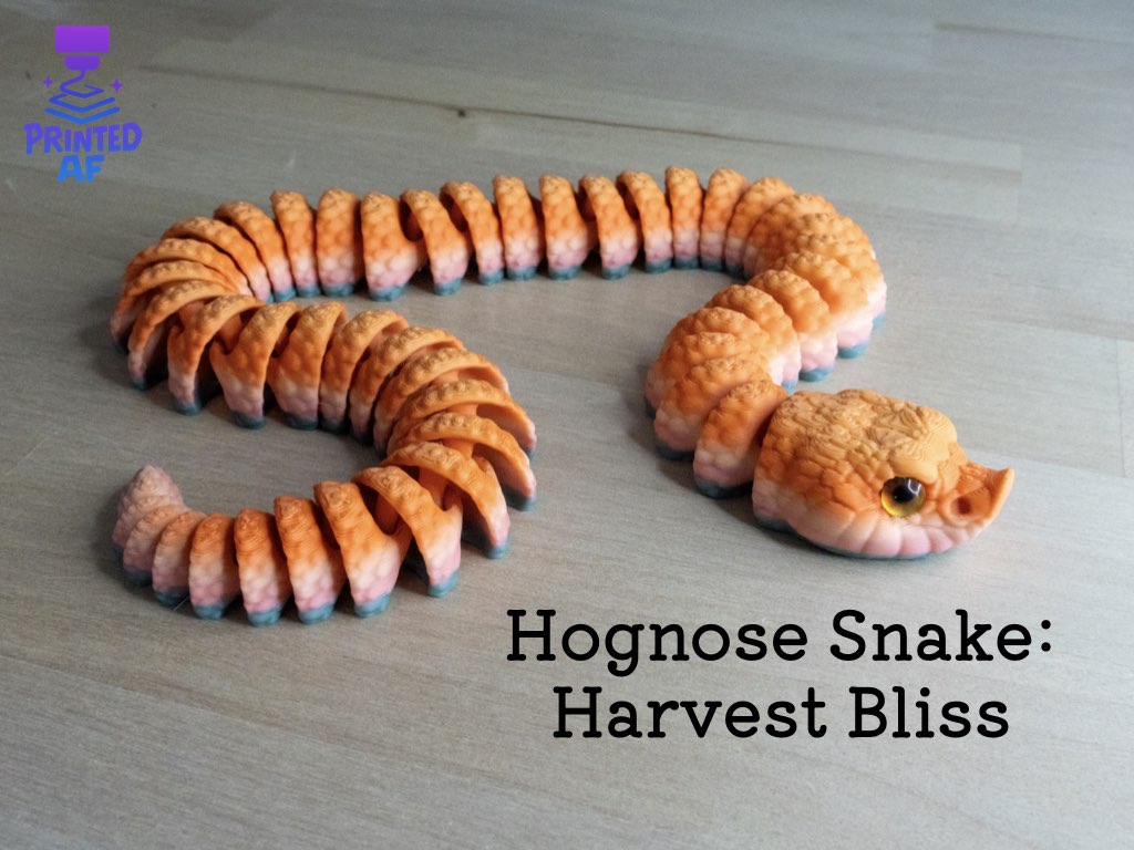 Hognose Snake