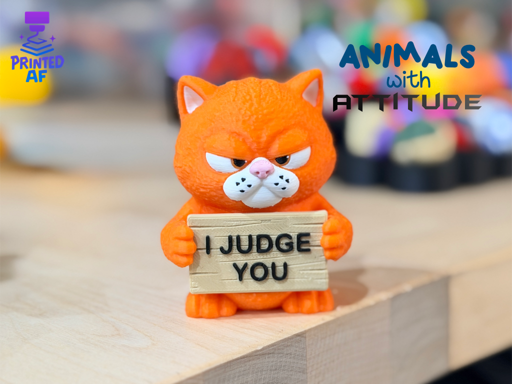 "I Judge You"