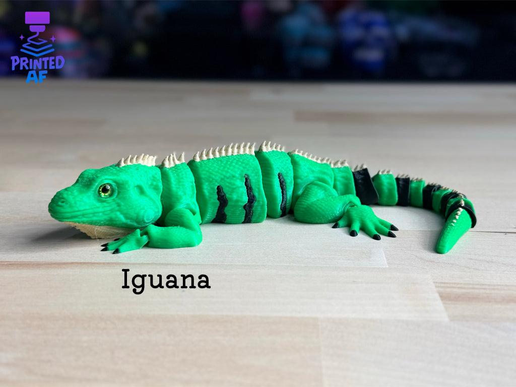Iguana