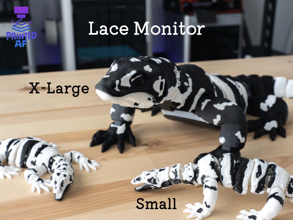 Lace Monitor