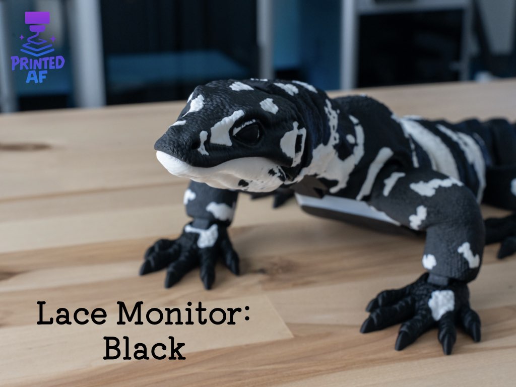 Lace Monitor