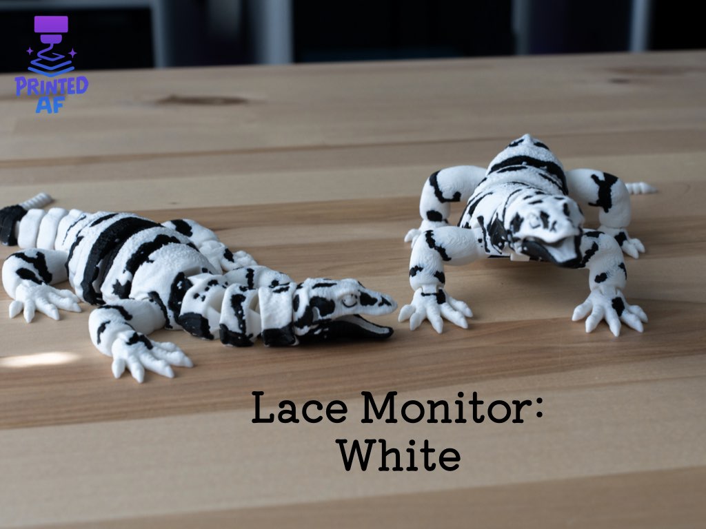 Lace Monitor