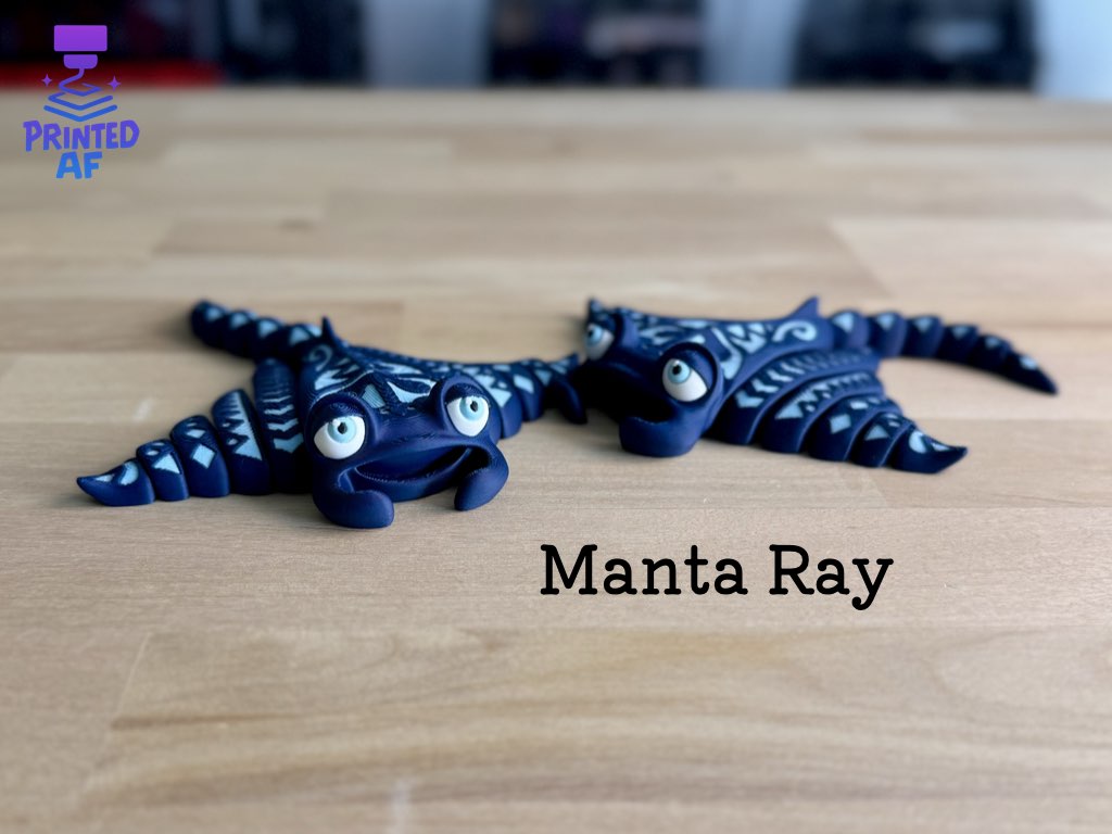 Manta Ray