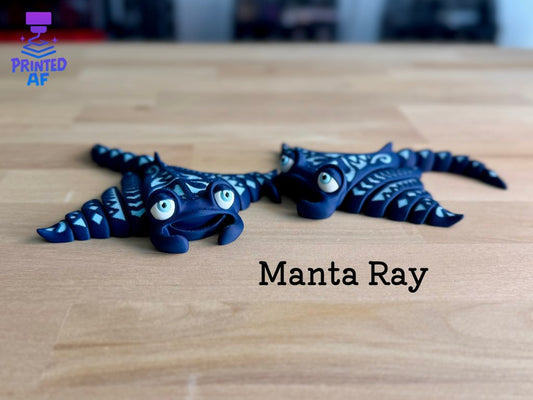 Manta Ray