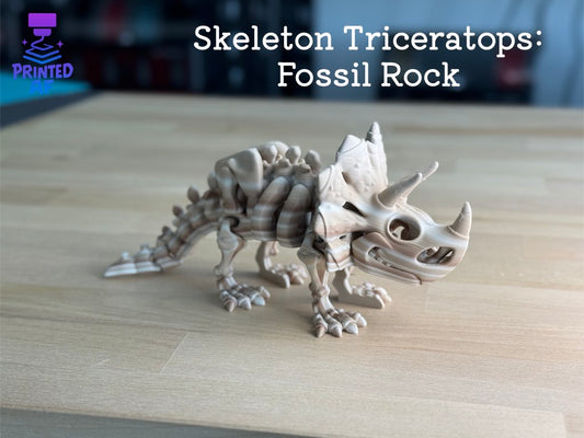 Skeleton Triceratops
