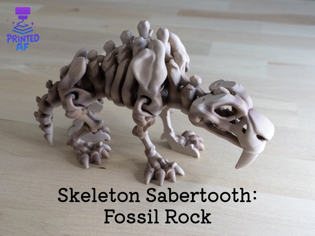 Skeleton Sabertooth