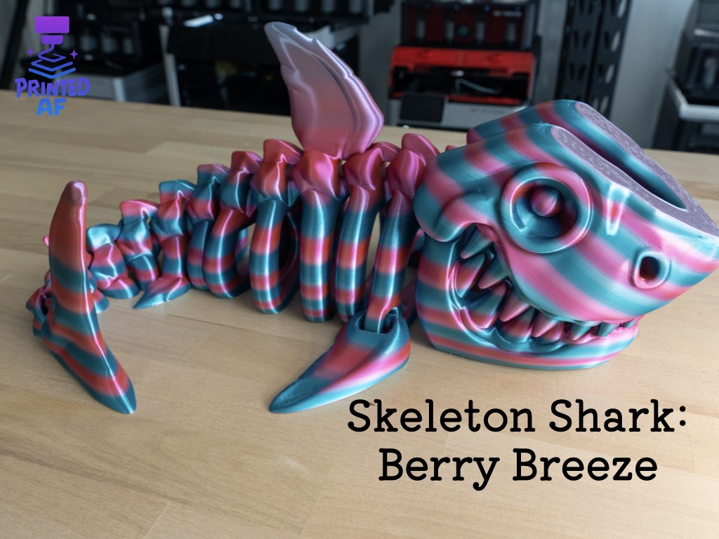 Skeleton Shark