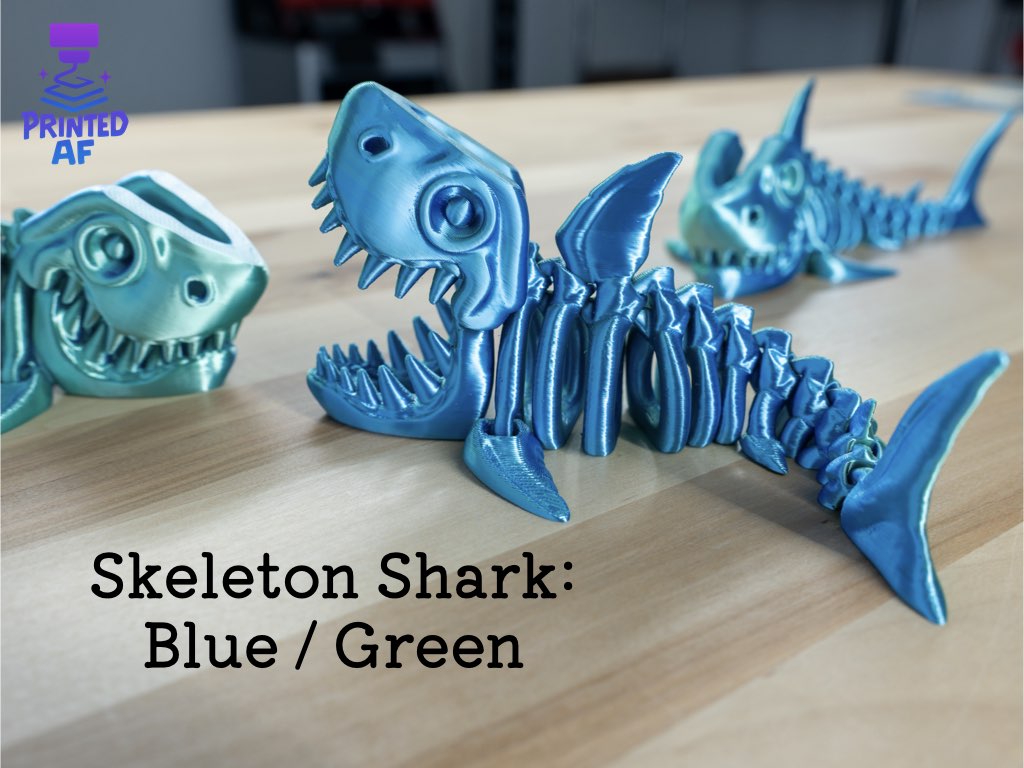 Skeleton Shark