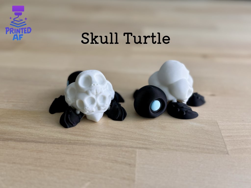 Skull Turtle