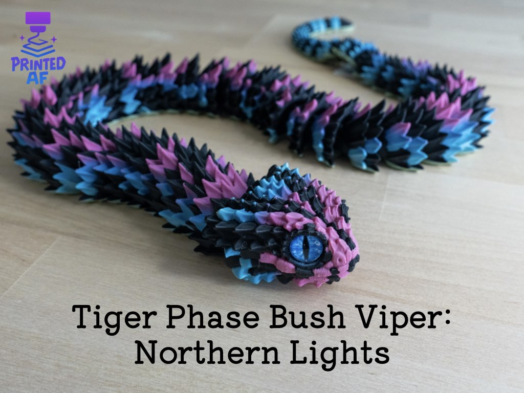 Tiger Phase Bush Viper