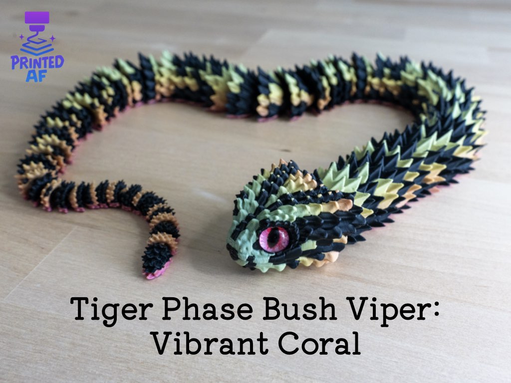 Tiger Phase Bush Viper