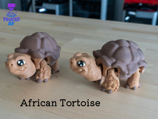 Tortoise
