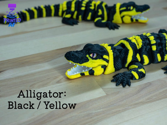 Alligator