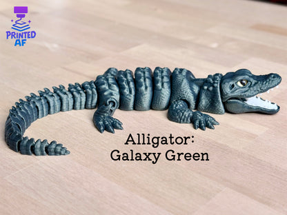 Alligator