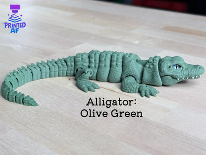 Alligator