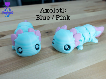 Axolotl