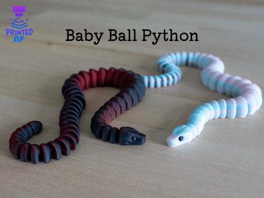 Baby Ball Python