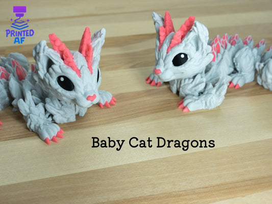Baby Cat Dragon