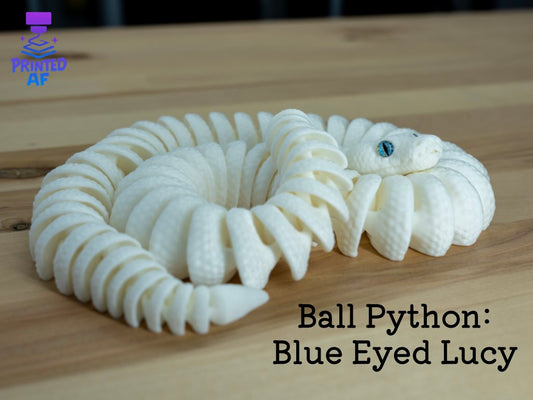 Ball Python
