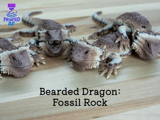 Bearded Dragon
