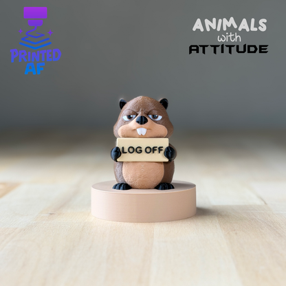 Beaver Attitude