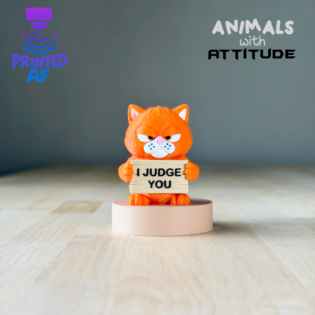 Cat Attitude