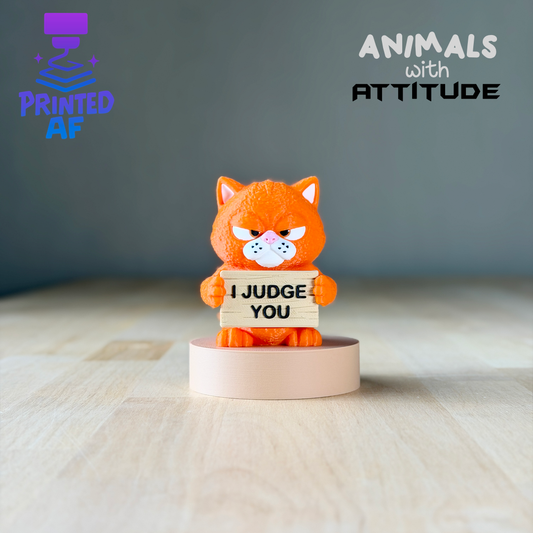 Cat Attitude