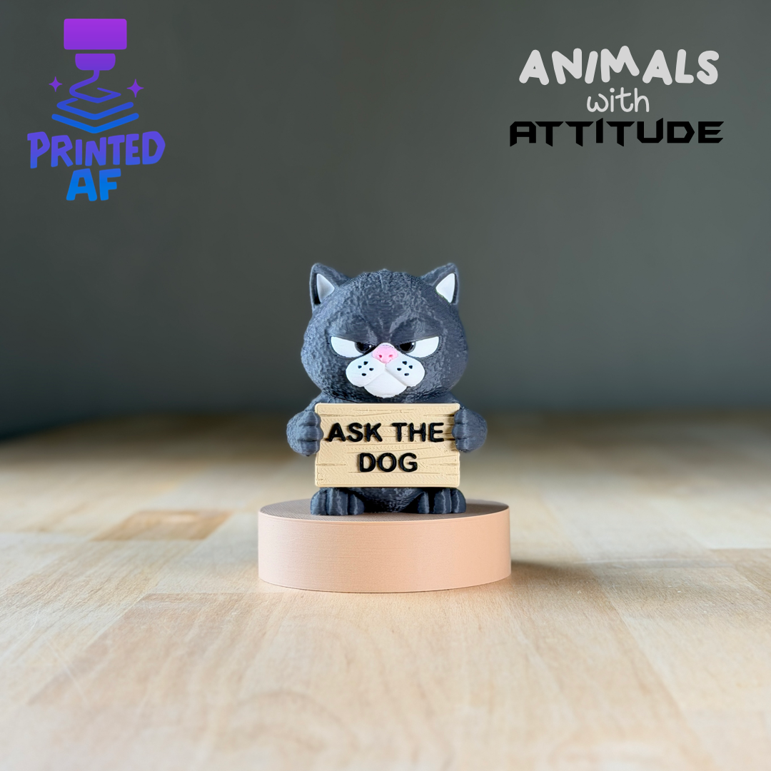 Cat Attitude