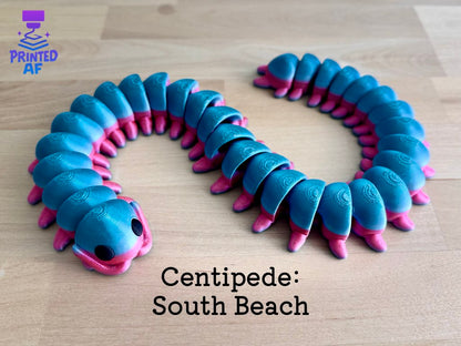 Centipede