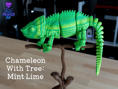 Chameleon With Tree